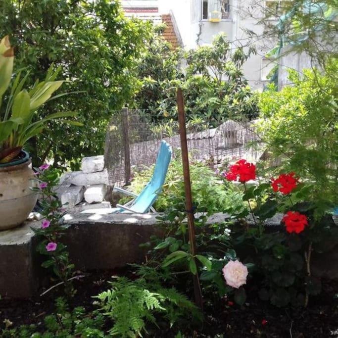 Appartement Charm Flat