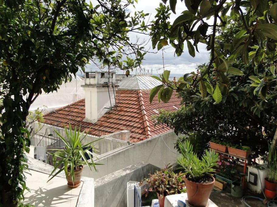 Charm Flat Apartment *
